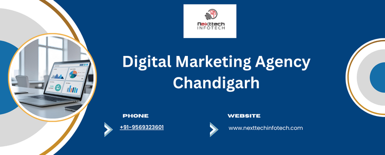 Digital Marketing Agency Chandigarh